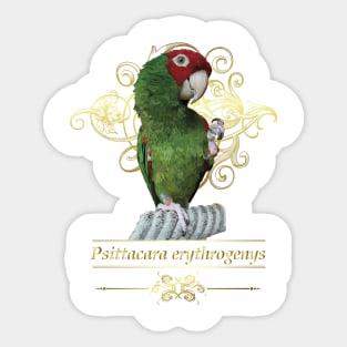 Red-masked Parakeet Sticker